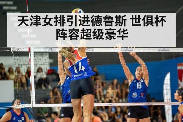 volleyball match action（MKSports）