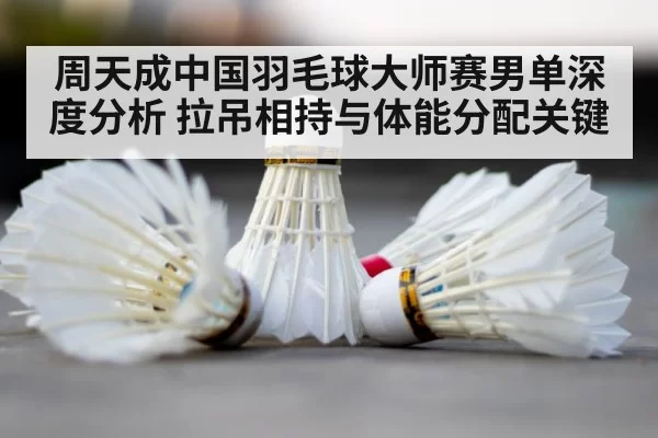 badminton court shuttlecock